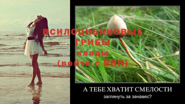 прущая мука Волоколамск
